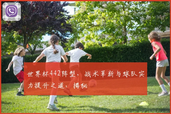 世界杯442阵型，战术革新与球队实力提升之道，揭秘
