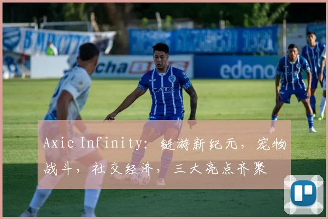 Axie Infinity：链游新纪元，宠物战斗，社交经济，三大亮点齐聚