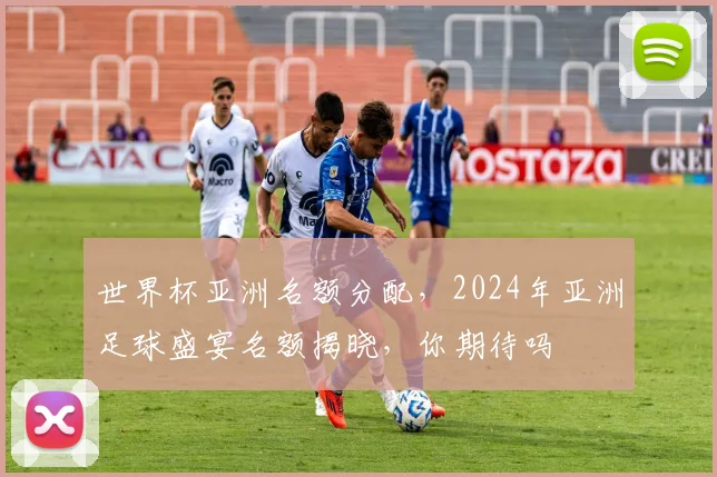 世界杯亚洲名额分配，2024年亚洲足球盛宴名额揭晓，你期待吗