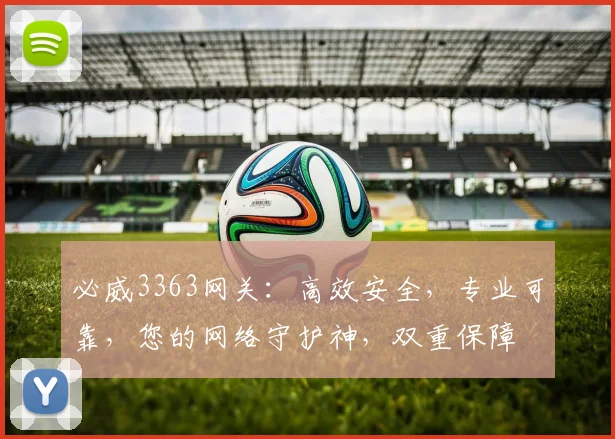 必威3363网关：高效安全，专业可靠，您的网络守护神，双重保障