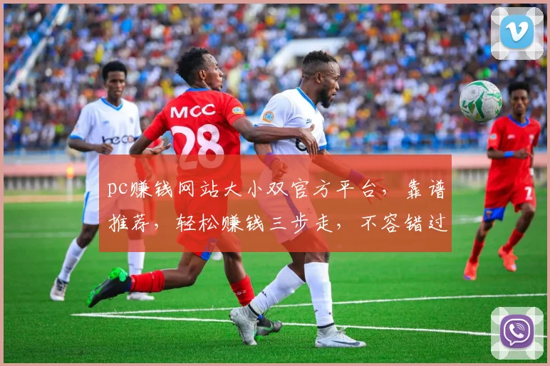 pc赚钱网站大小双官方平台，靠谱推荐，轻松赚钱三步走，不容错过，立即加入