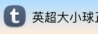 英超大小球正规网站 Logo